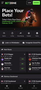 Betzone sports betting markets