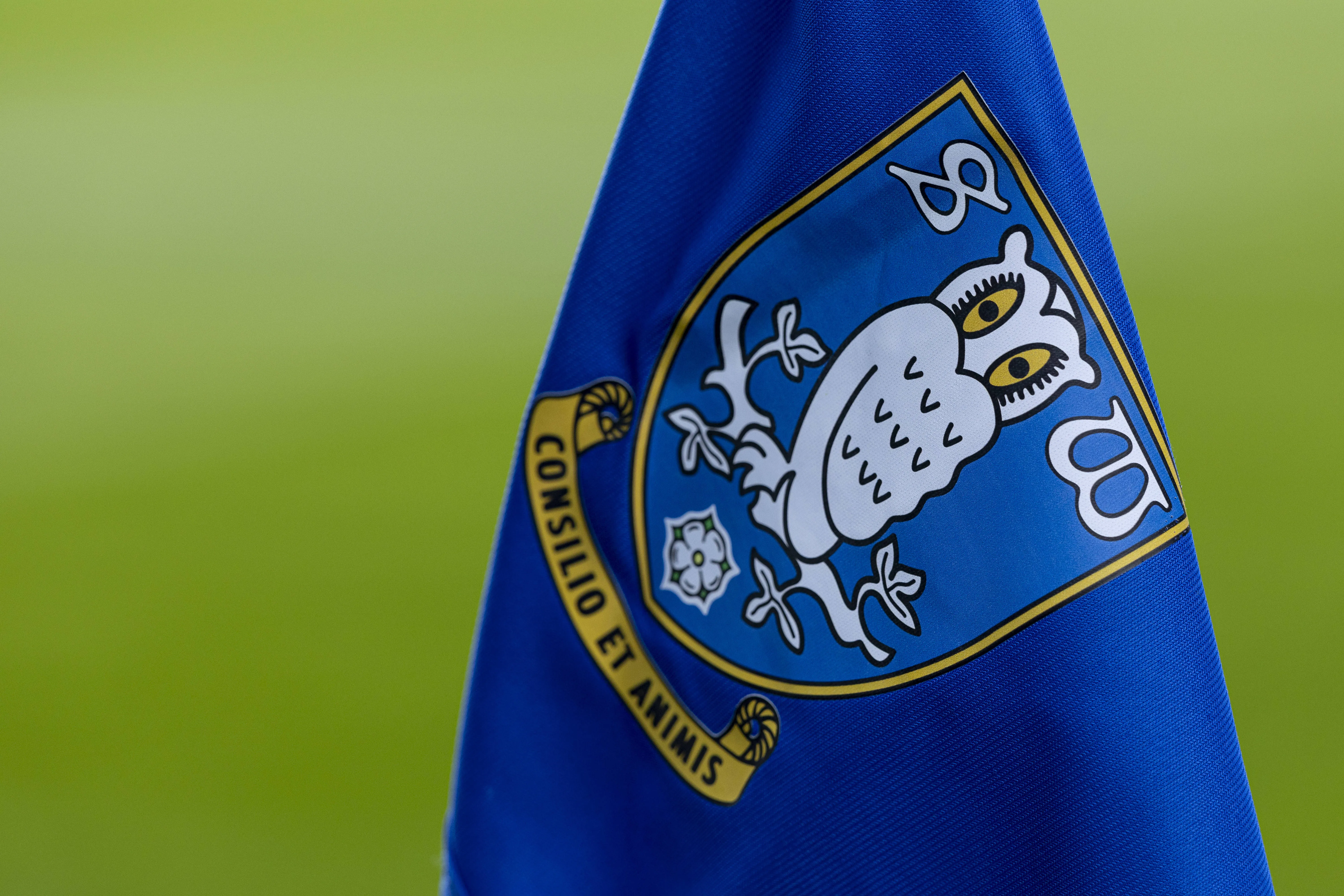 Sheffield Wednesday chief drops update on Hillsborough Stadium changes amid &pound;9m redevelopment