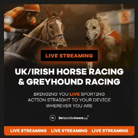 Horse racing at AK bets