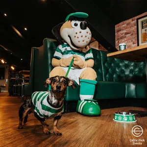Celtic announce that popular Sports Bar at Celtic Park now ‘dog friendly’