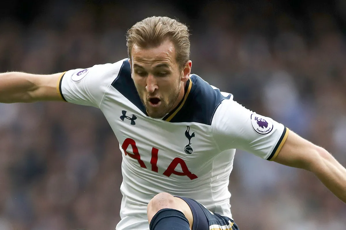 FotoJet 2026 02 20T043039.479