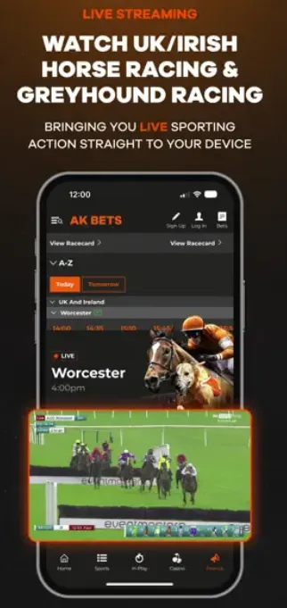 AK Bets live streaming: watch horse racing and greyhound racing live
