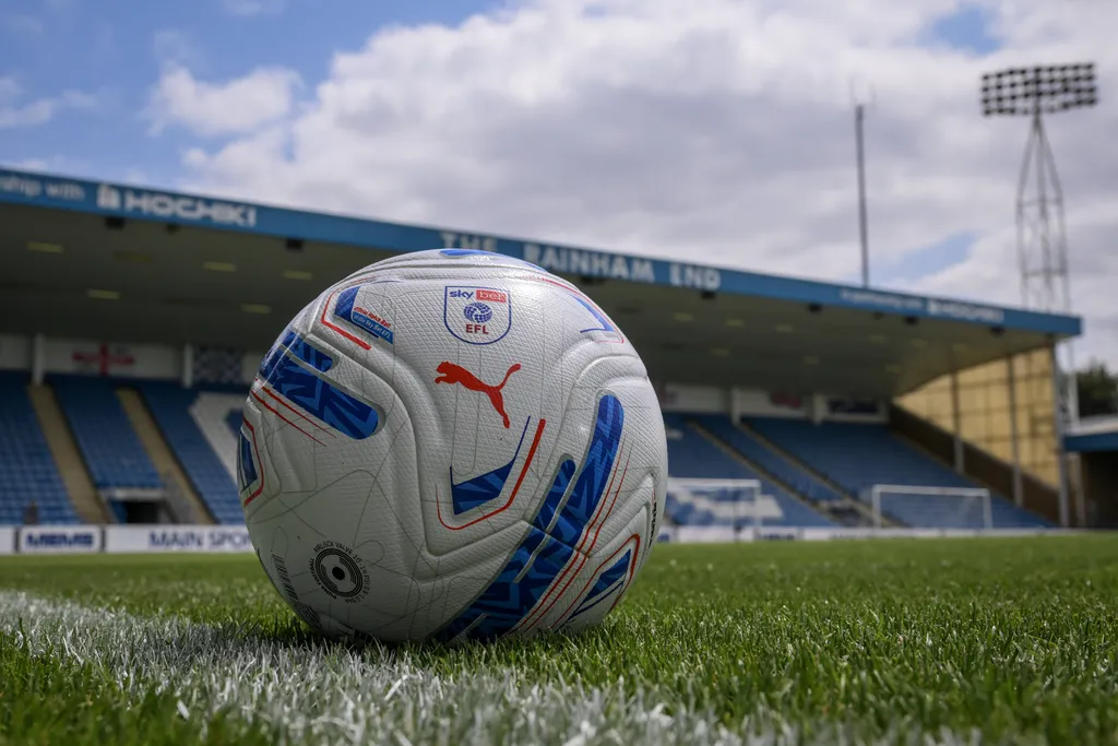 League Two club suffer pitch damage after a fox breaks into stadium just days before next match