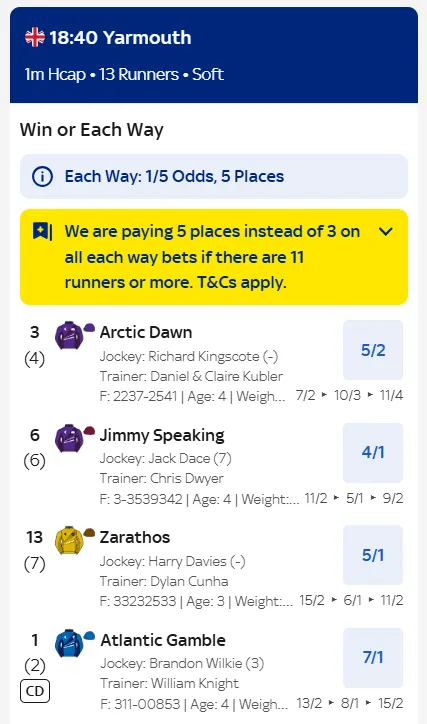 Sky Bet horse racing betting example odds