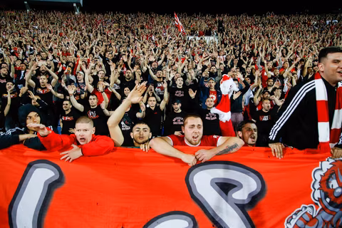 Bulgaria football fan protest explained: President controversy, violence, injuries, investigation and more