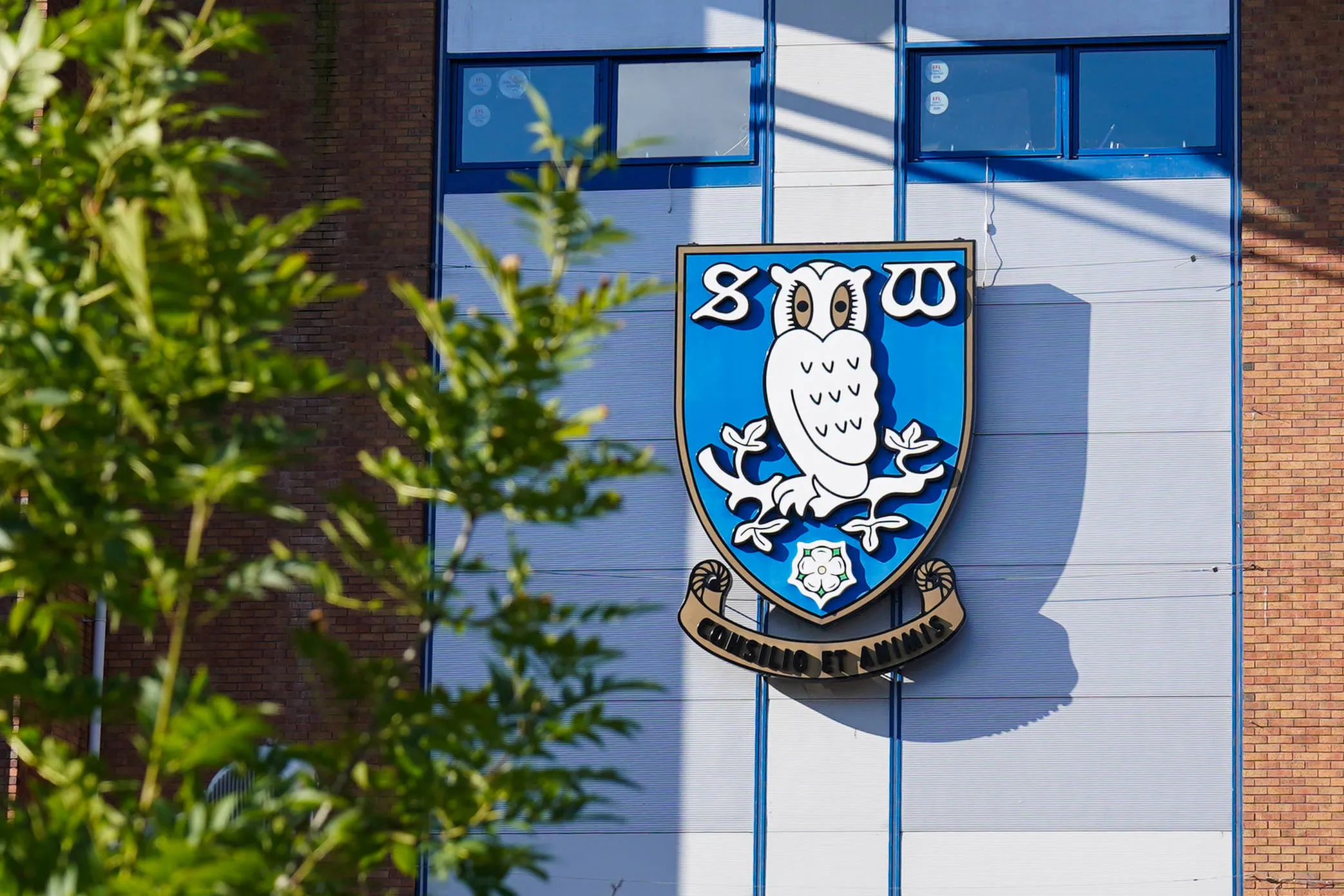 Hillsborough Stadium improvements underway as fresh footage reveals upgrade at Sheffield Wednesday