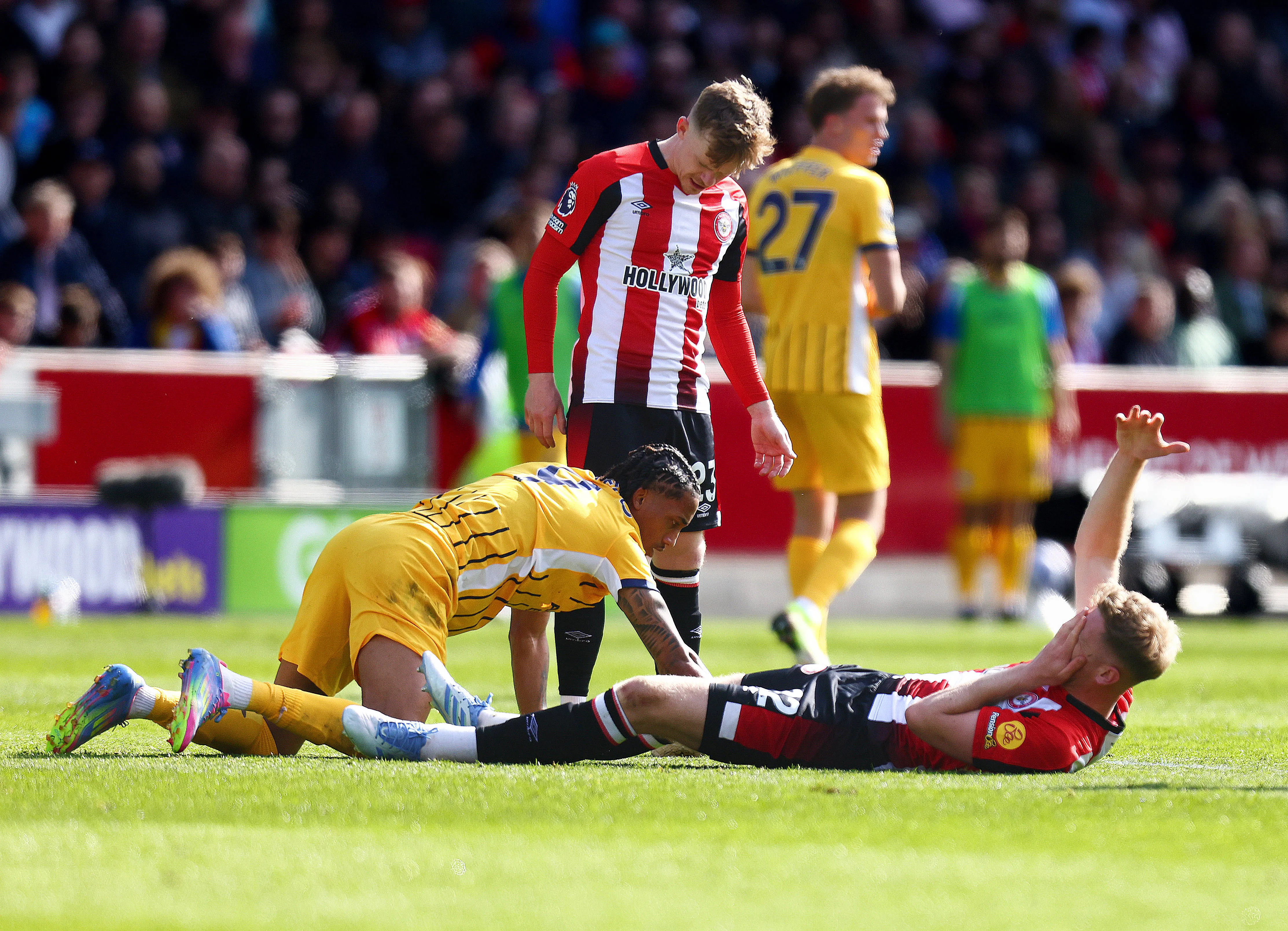 Brighton vs Brentford