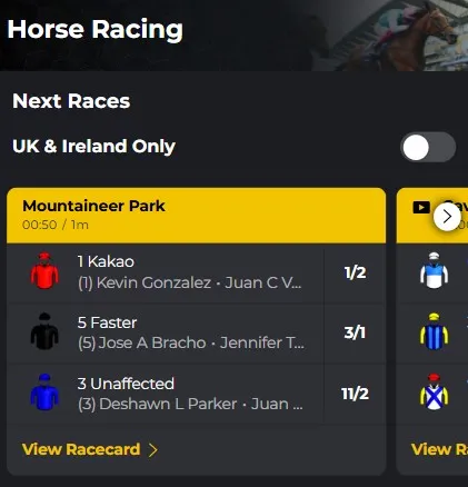priced-up-horse-racing-odds