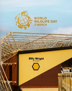 Wolves remove wolf from club badge to support World Wildlife Day