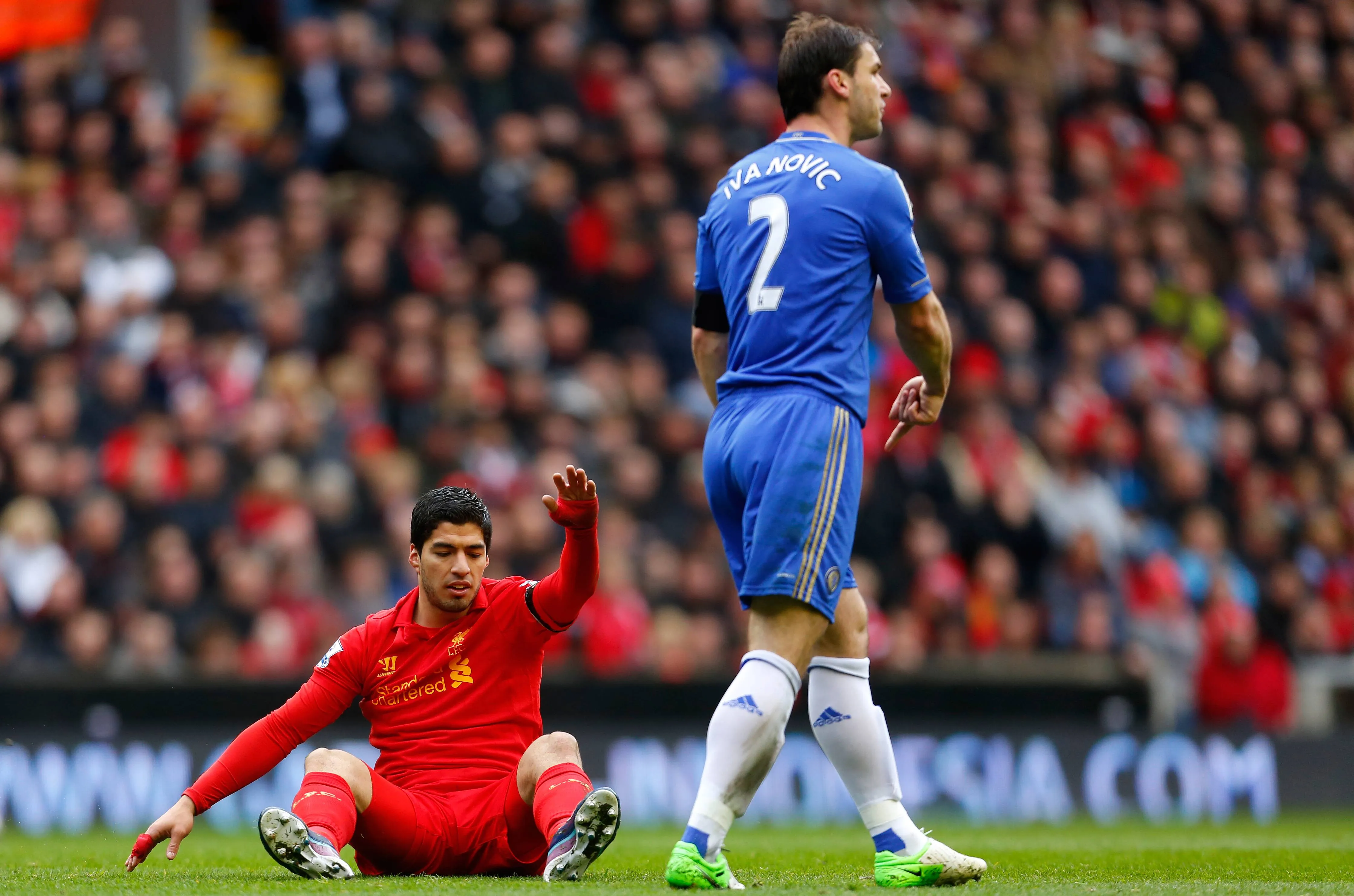 Luis Suarez and Branislav Ivanovic