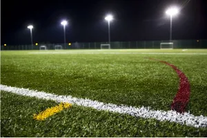 Football Grass Types: What is used on professional pitches?