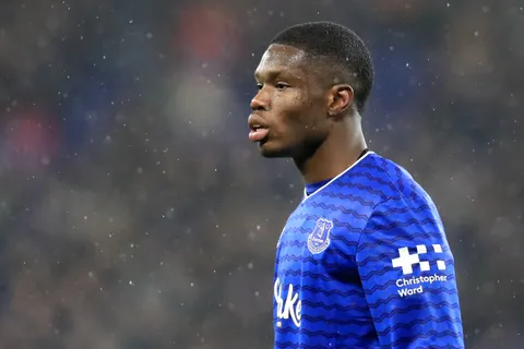 Everton striker&rsquo;s friends &lsquo;attacked&rsquo; at Arsenal as police open investigation